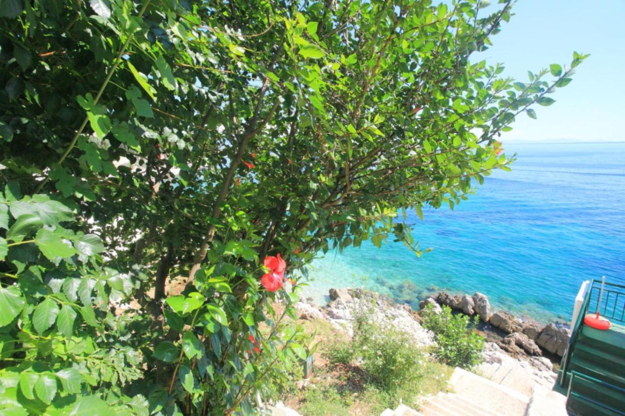 Sea Front Studio Alexandra Nisaki  Luaran gambar